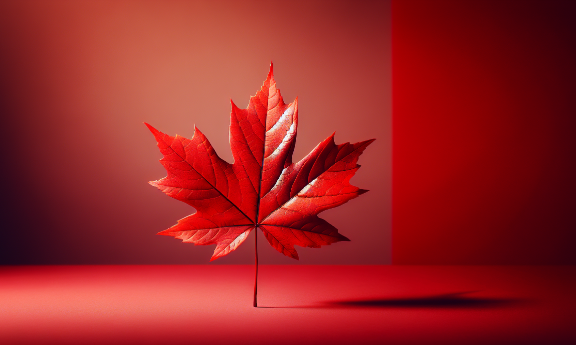 特朗普北极野心扩张，加拿大成下一个目标！